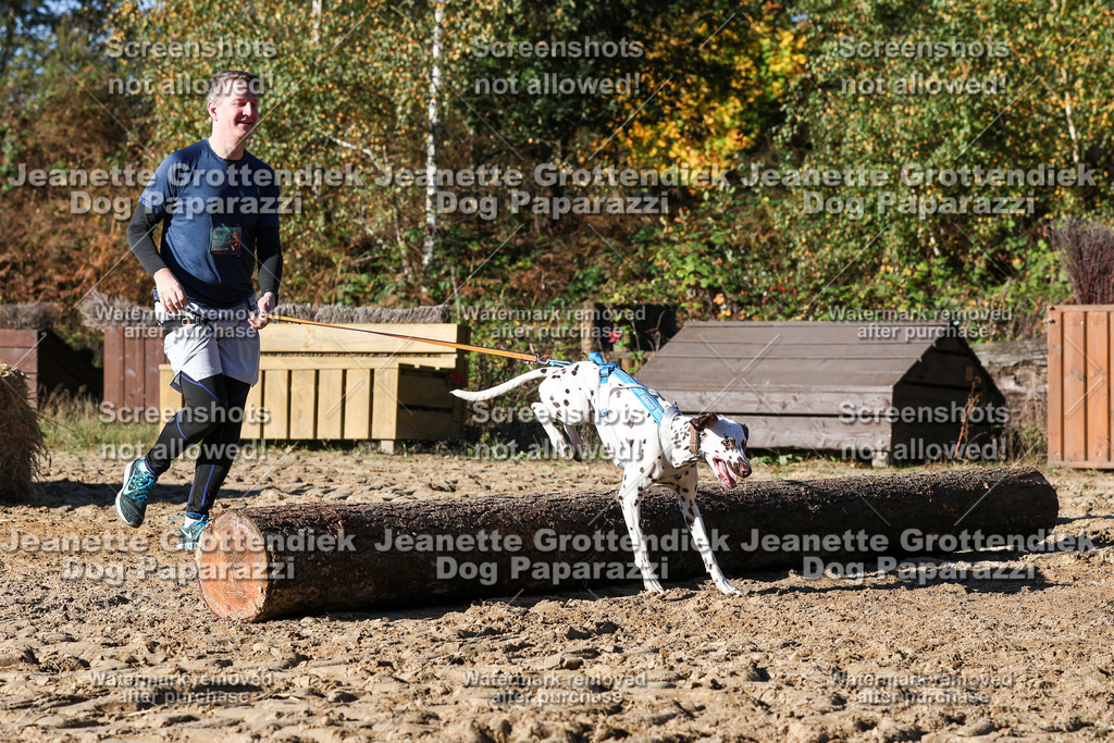 Dog Paparazzi - Strongdog 10-25-2098 | Dog Paparazzi Jeanette Grottendiek Fotografie & Videografie - Realisiert mit Pictrs.com