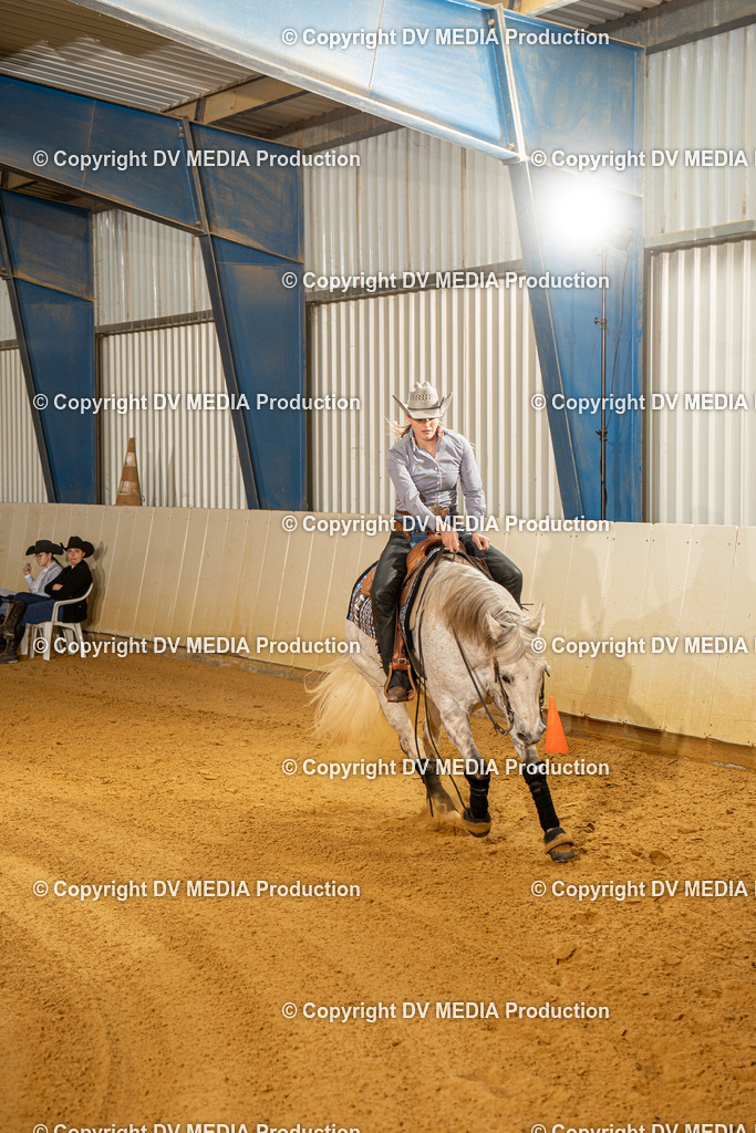 MIT00569 | dv-media-shop - Realisiert mit Pictrs.com