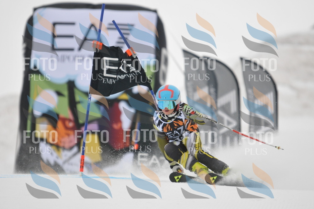 DSC_7523 | holidayphoto