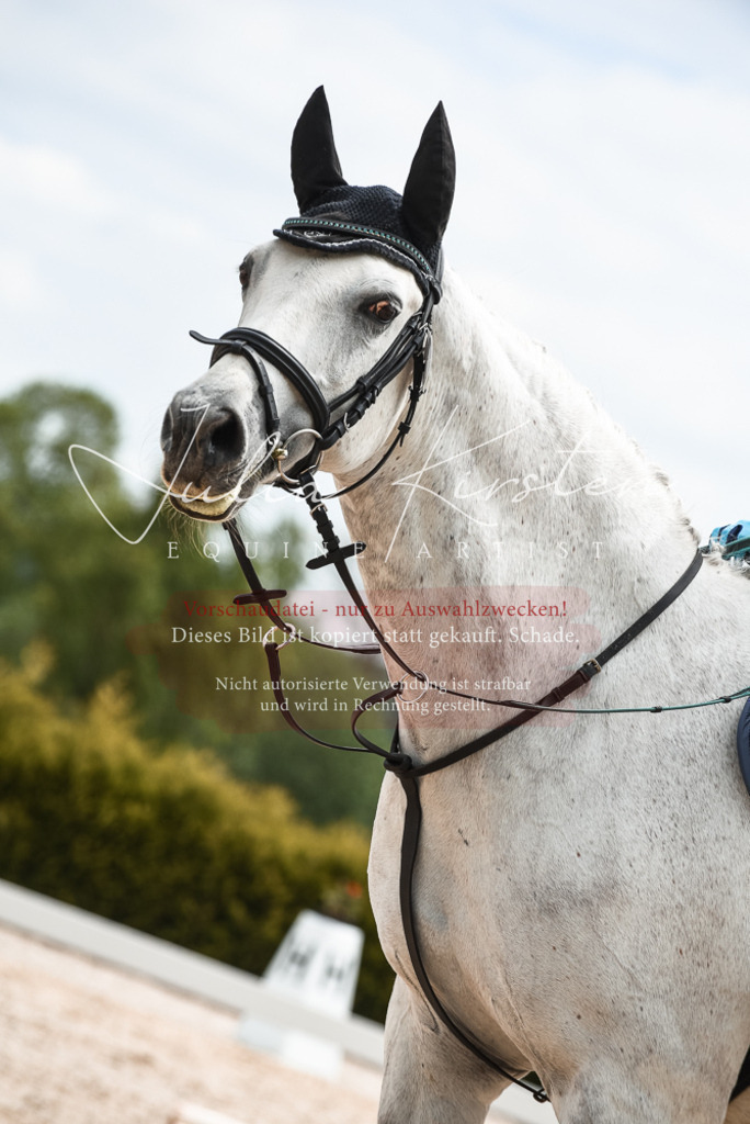 20230518_JK-Röhrsdorf-10-813 | Pferde- und Turnierfotografie in Westsachsen. Pferdeportraits, Auftragszeichnungen und intuitive Kunst.