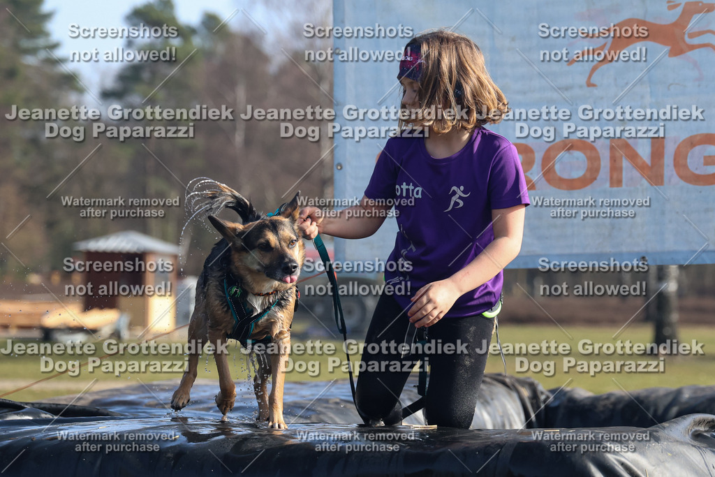 Dog Paparazzi - Strongdog North Mrz26-1344 | Dog Paparazzi Jeanette Grottendiek Fotografie & Videografie - Realisiert mit Pictrs.com