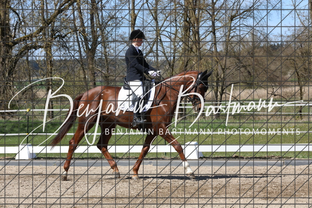 AZ2A4275 | Benjamin Bartmann Photomoments