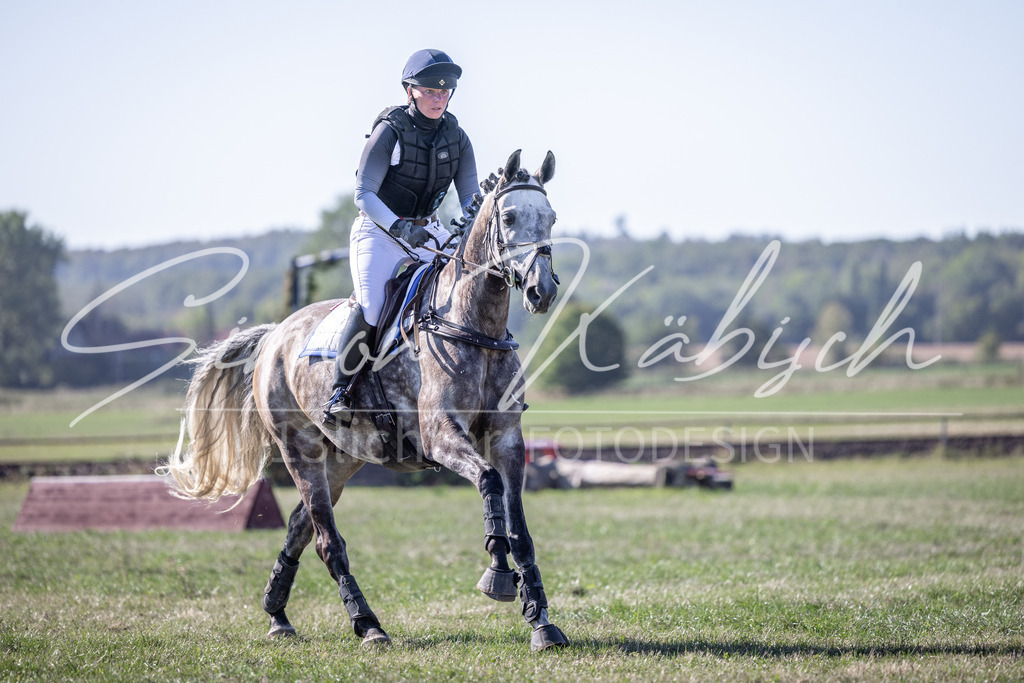 20260906-_3LI2133 | Tierfotografie Pferde, Hunde, Katzen, Haustiere.
Turnierfotografie Reitturniere, Reiten, Springreiten, Dressur in Hanau, dem Main-Kinzig-Kreis und dem Rhein-Main- Gebiet um Frankfurt
