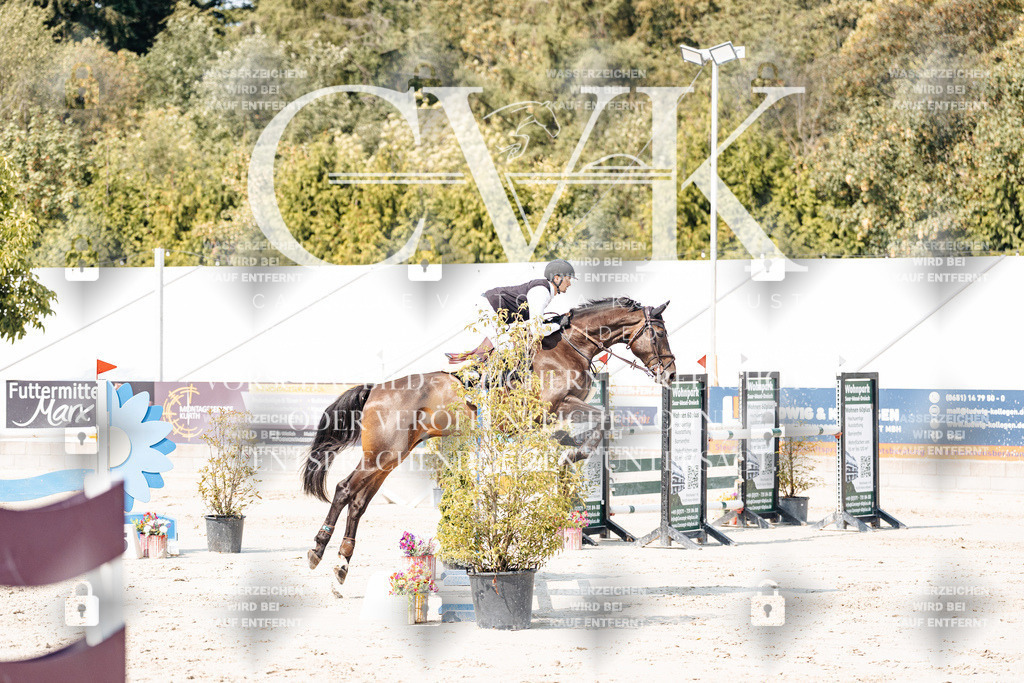 CK901806 | Turnierfotografie Pferdefotografie Trier Rheinland-Pfalz Pferdesport Reitsport Tierfotografie Sportfotografie Pferdevideo Pferdevideografie Equestrianvideography equestrianphotography  - Realisiert mit Pictrs.com