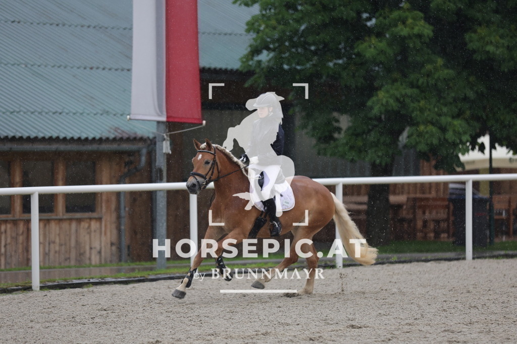 0P6A7640 | Willkommen bei Brunnmayr - Design & Fotografie – Ihrem Spezialisten für Reitturniere und Pferdeveranstaltungen in Oberösterreich, Salzburg und Bayern! Seit über 17 Jahren sind wir leidenschaftlich dabei.