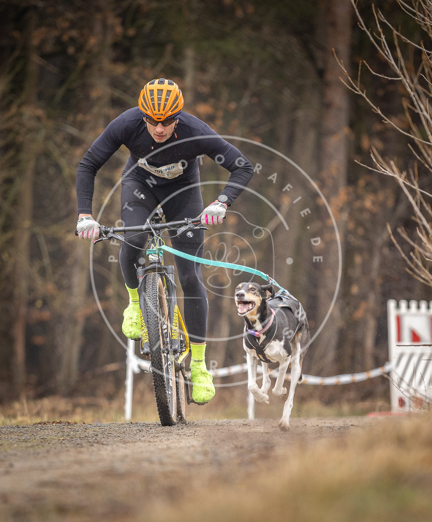 DV3A3181 | Hundefotografie, Tierfotograf, Pfotenfotografie, Fotoshooting Hund, Hunde Portrait, Hundesport, Hundeportraits, Heideshooting, Hunde, Sportfotograf, Hundefotograf, Turnierhundsport, THS,  - Realisiert mit Pictrs.com