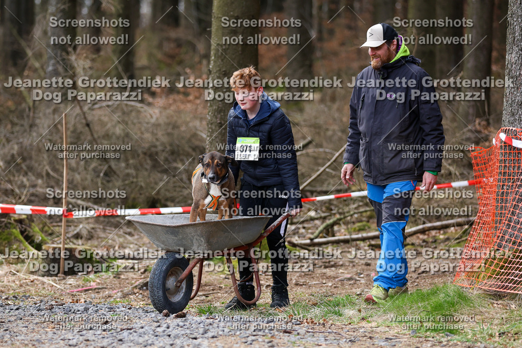 Dog Paparazzi - VCC26-715 | Dog Paparazzi Jeanette Grottendiek Fotografie & Videografie - Realisiert mit Pictrs.com