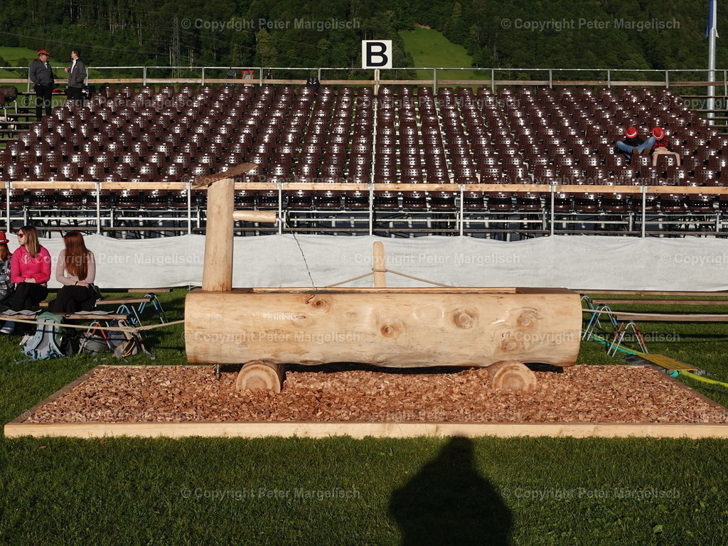 DSC07323 | Schwingen - Realisiert mit Pictrs.com