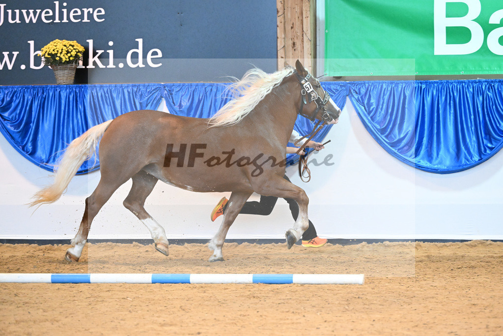 Kat-Nr. 57 Eliana W2_Waldherr_53220145 | hf-fotografie - Realisiert mit Pictrs.com