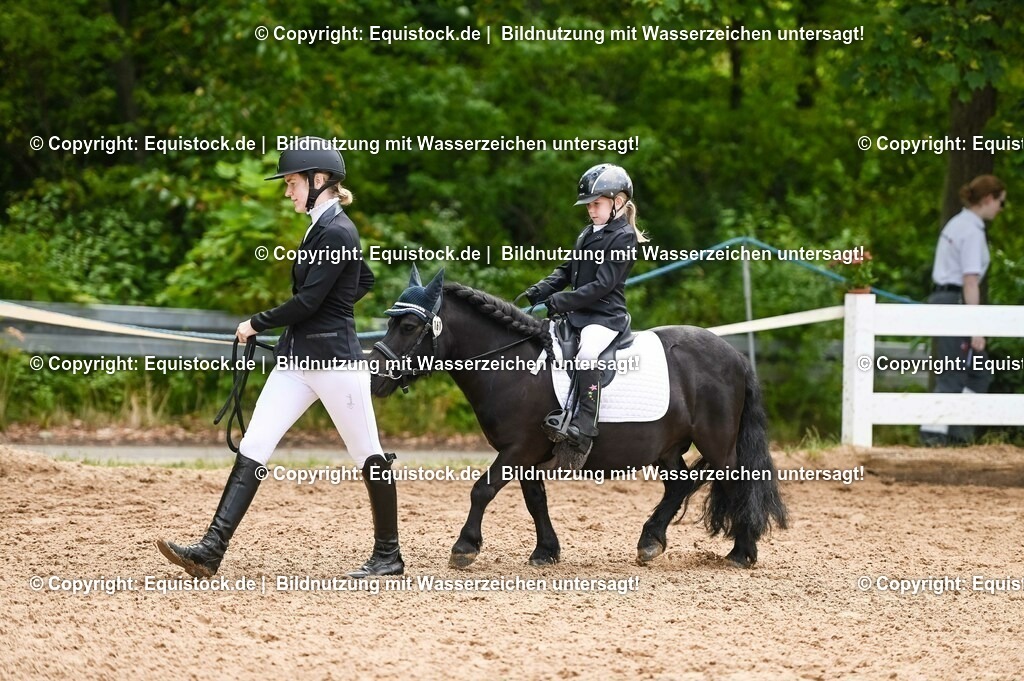 20230716_11_Führzügel-WB_0100 | equistock