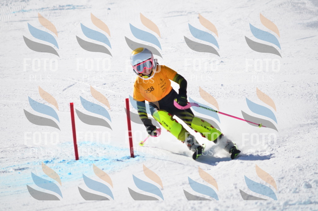 C8494 | holidayphoto