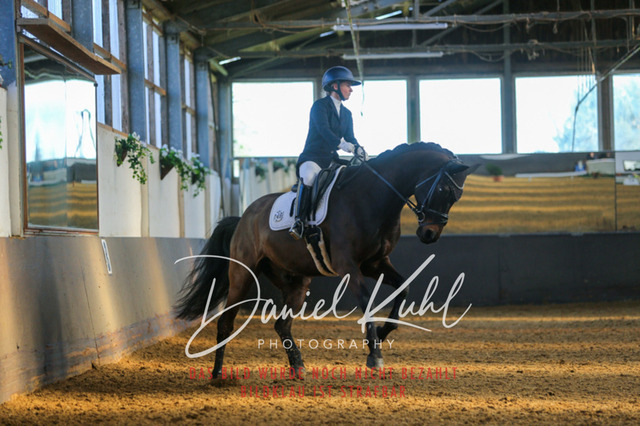 IMG_3137 | Turniersportfotografie; Pferdefotografie; Dressurfotografie