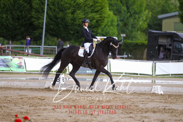 DKP40799 | Turniersportfotografie; Pferdefotografie; Dressurfotografie