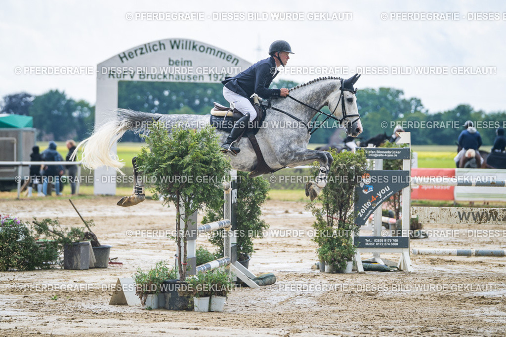 DSC04478 | Pferdegrafie