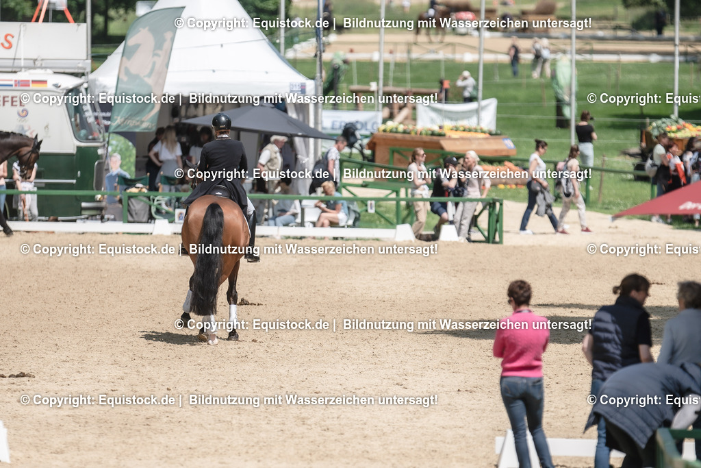 DSC_7760 | equistock