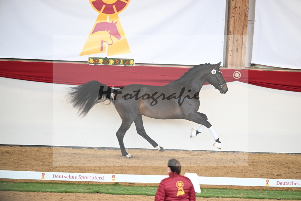 Kat.-Nr. 78 v. Springbank II VH_Reichert_2250759 | hf-fotografie - Realisiert mit Pictrs.com