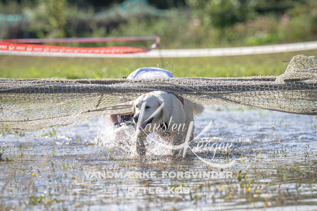 1030_ZZ90318 | kk-dogfotos