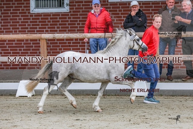 16-13 | mandyhollmannphotographie