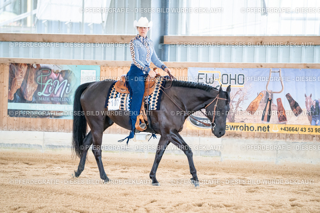 DSC01943 | Pferdegrafie