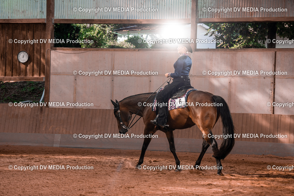 NE100242 | dv-media-shop - Realisiert mit Pictrs.com