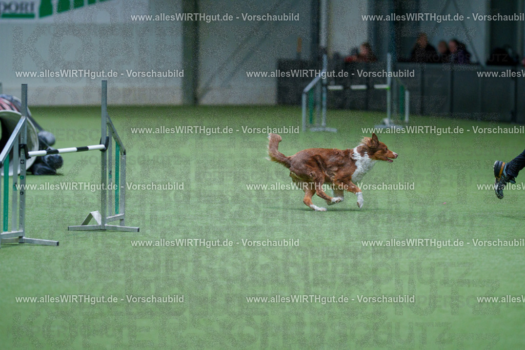 @allesWIRTHgut_Tierfotografie - www.allesWIRTHgut.de - 2604251057-7R500666 | Professionelle Tierfotografie in Mönchengladbach von Daniel Wirth (allesWIRTHgut). Liebevolle & natürliche Bilder von Hunden & Katzen für unvergessliche Erinnerungen.