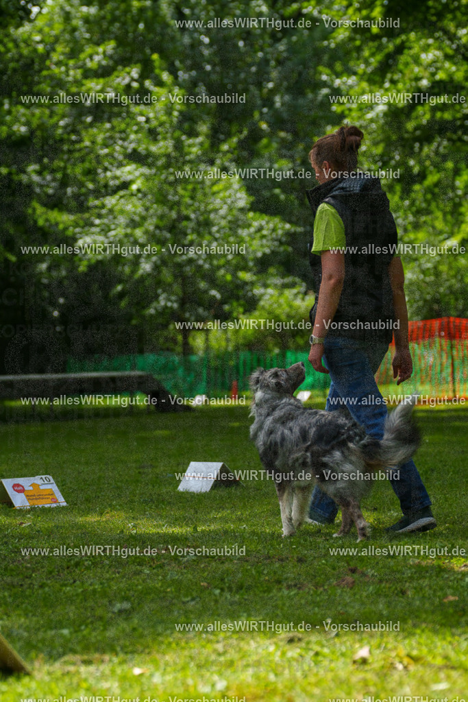 @allesWIRTHgut_Tierfotografie - www.allesWIRTHgut.de - 7R505897 | Professionelle Tierfotografie in Mönchengladbach von Daniel Wirth (allesWIRTHgut). Liebevolle & natürliche Bilder von Hunden & Katzen für unvergessliche Erinnerungen.
