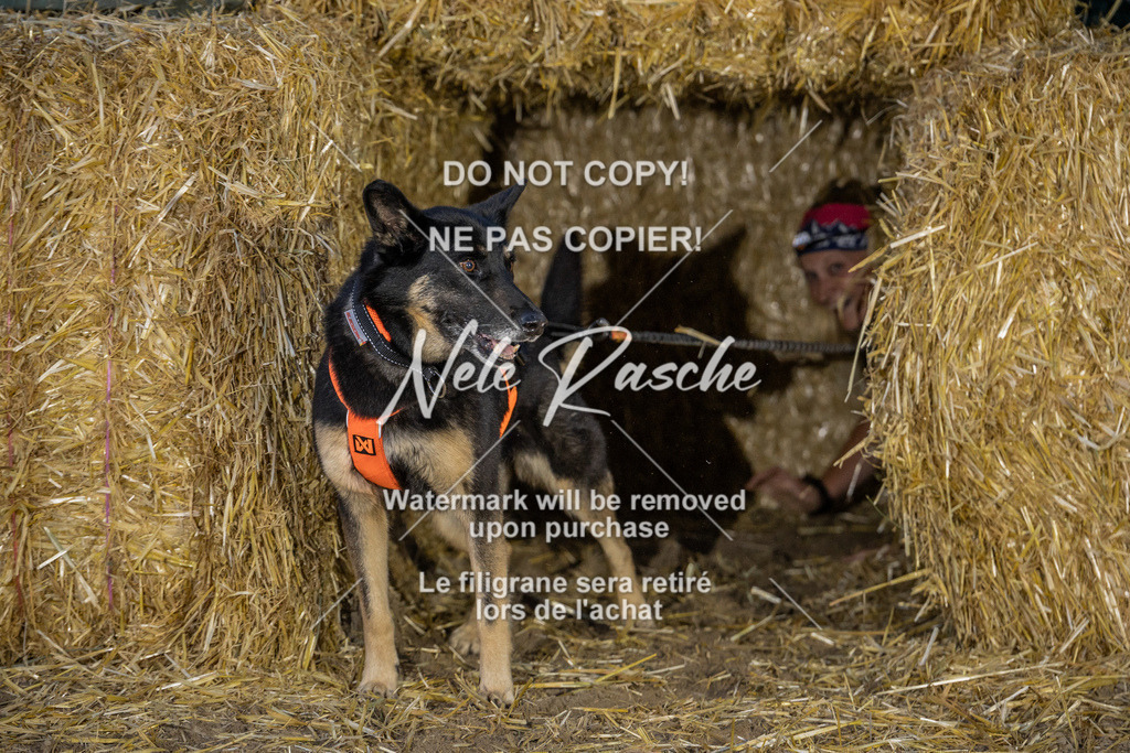 nelerasche_FrNacht_234 | nelerasche
