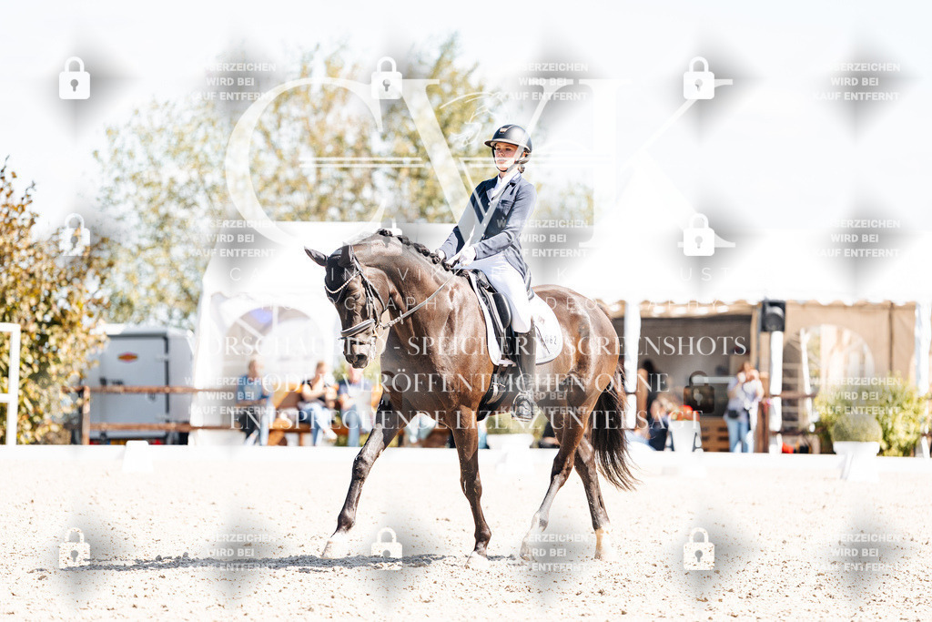 CK903409 | Turnierfotografie Pferdefotografie Trier Rheinland-Pfalz Pferdesport Reitsport Tierfotografie Sportfotografie Pferdevideo Pferdevideografie Equestrianvideography equestrianphotography  - Realisiert mit Pictrs.com