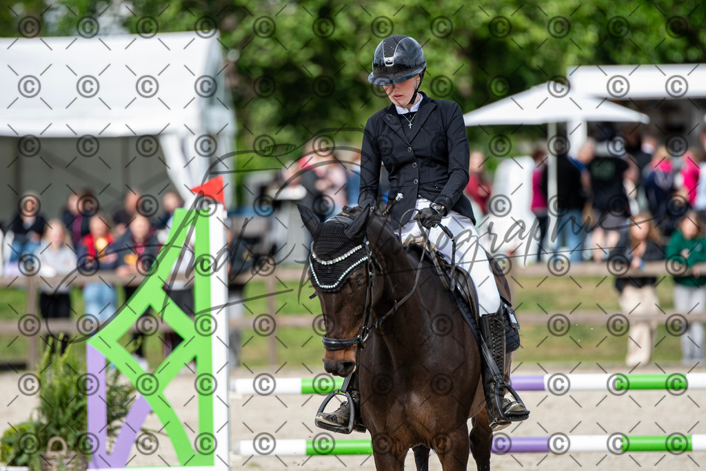 KPT_6525 | andre_photographic