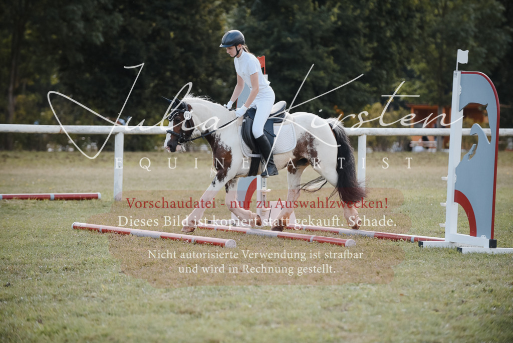 DSC_5359 | Pferde- und Turnierfotografie in Westsachsen. Pferdeportraits, Auftragszeichnungen und intuitive Kunst.