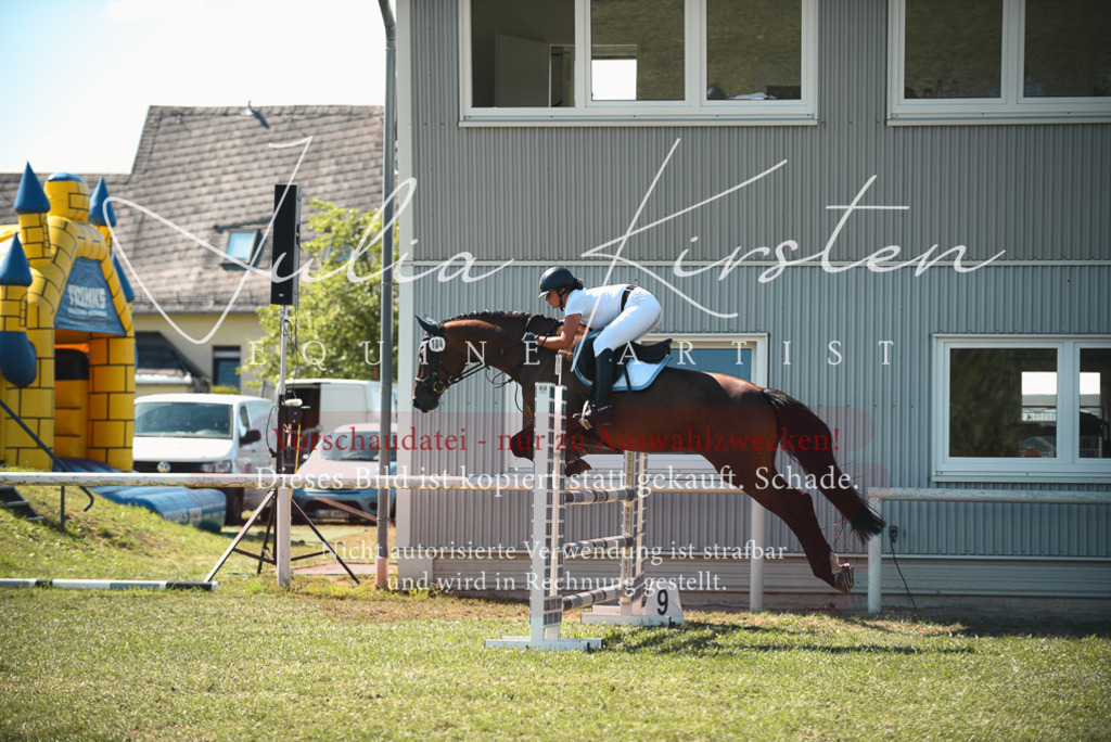 DSC_7256 | Pferde- und Turnierfotografie in Westsachsen. Pferdeportraits, Auftragszeichnungen und intuitive Kunst.