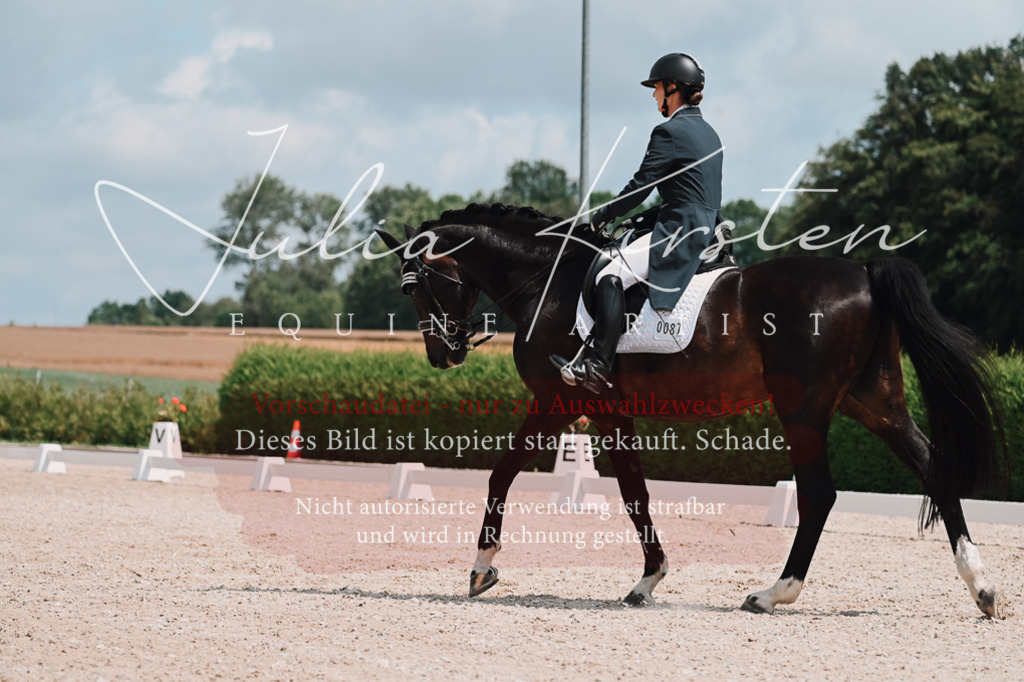 DSC_4069 | Pferde- und Turnierfotografie in Westsachsen. Pferdeportraits, Auftragszeichnungen und intuitive Kunst.