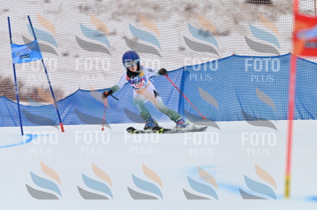 BGV_1412 | holidayphoto