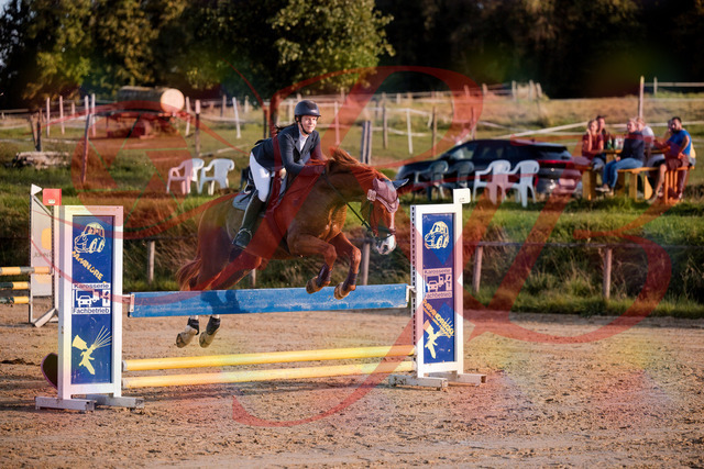 2026_10_03_Siefer-Hof_171252_Z81_10248163 | Professionelle Reitsport-, Turnier- und Eventfotografie von Robert Broda. Galerien mit ausgewählten und bearbeiteten Bildern direkt online ansehen und bestellen.