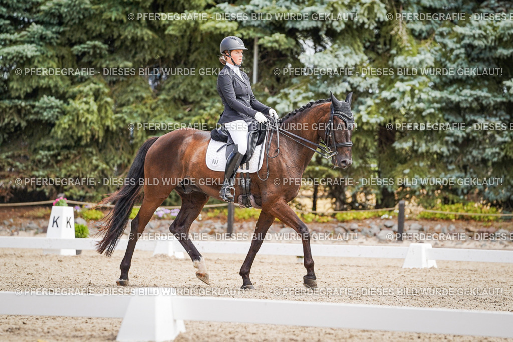 DSC03451 | Pferdegrafie