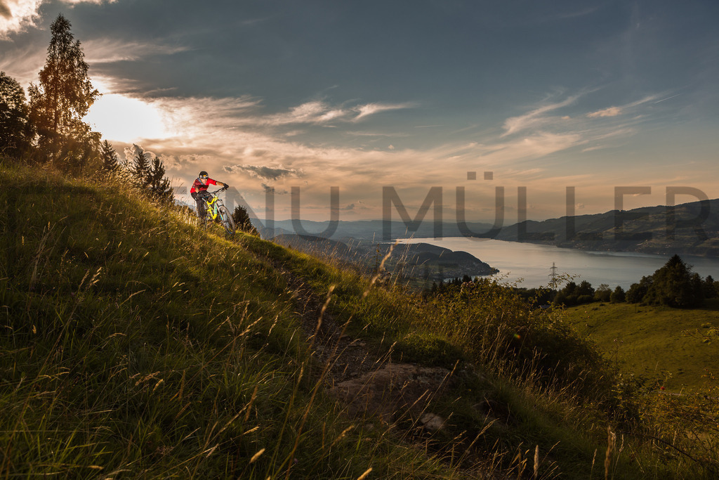 _04A4716 | Tinu Müller Fotografie- Bildershop - Realisiert mit Pictrs.com