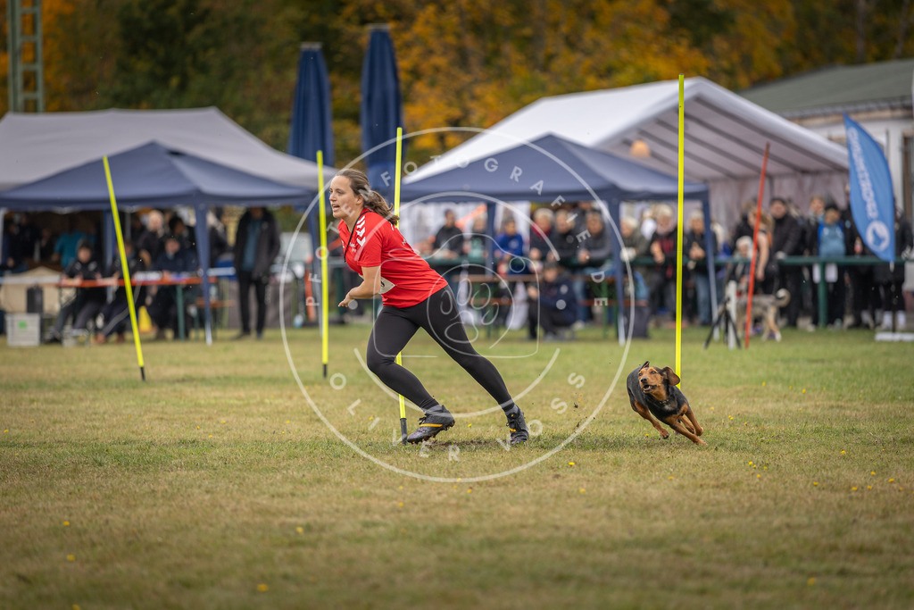 Pfotenfotografie_DV3A7528 | Hundefotografie, Tierfotograf, Pfotenfotografie, Fotoshooting Hund, Hunde Portrait, Hundesport, Hundeportraits, Heideshooting, Hunde, Sportfotograf, Hundefotograf, Turnierhundsport, THS,  - Realisiert mit Pictrs.com