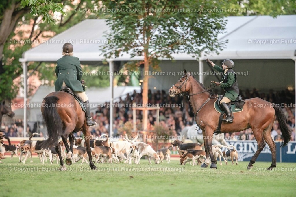 20230526_Pferdenacht_0544 | equistock