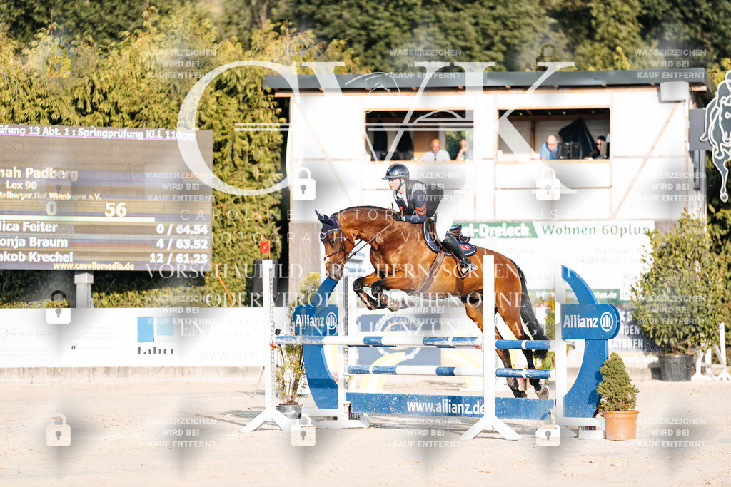 CK900674 | Turnierfotografie Pferdefotografie Trier Rheinland-Pfalz Pferdesport Reitsport Tierfotografie Sportfotografie Pferdevideo Pferdevideografie Equestrianvideography equestrianphotography  - Realisiert mit Pictrs.com