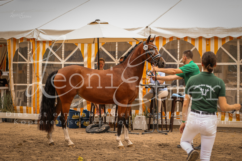 12.So00046 | Leoni Ertmer Photography - Realisiert mit Pictrs.com