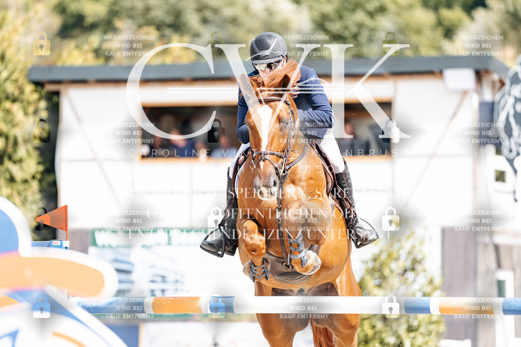 CK905354 | Turnierfotografie Pferdefotografie Trier Rheinland-Pfalz Pferdesport Reitsport Tierfotografie Sportfotografie Pferdevideo Pferdevideografie Equestrianvideography equestrianphotography  - Realisiert mit Pictrs.com