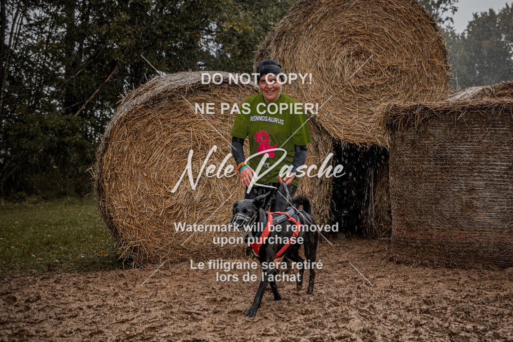 nelerasche_Hunsrück_So12-13_176 | nelerasche