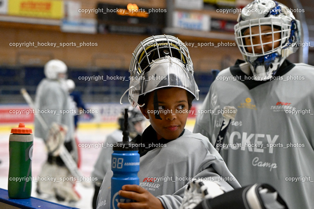 Z9B_9602 | hockey sports photos, Pressefotos, Sportfotos, hockey247, win 2day icehockeyleague, Handball Austria, Floorball Austria, ÖVV, Kärntner Eishockeyverband, KEHV, KFV, Kärntner Fussballverband, Österreichischer Volleyballverband, Alps Hockey League, ÖFB, 