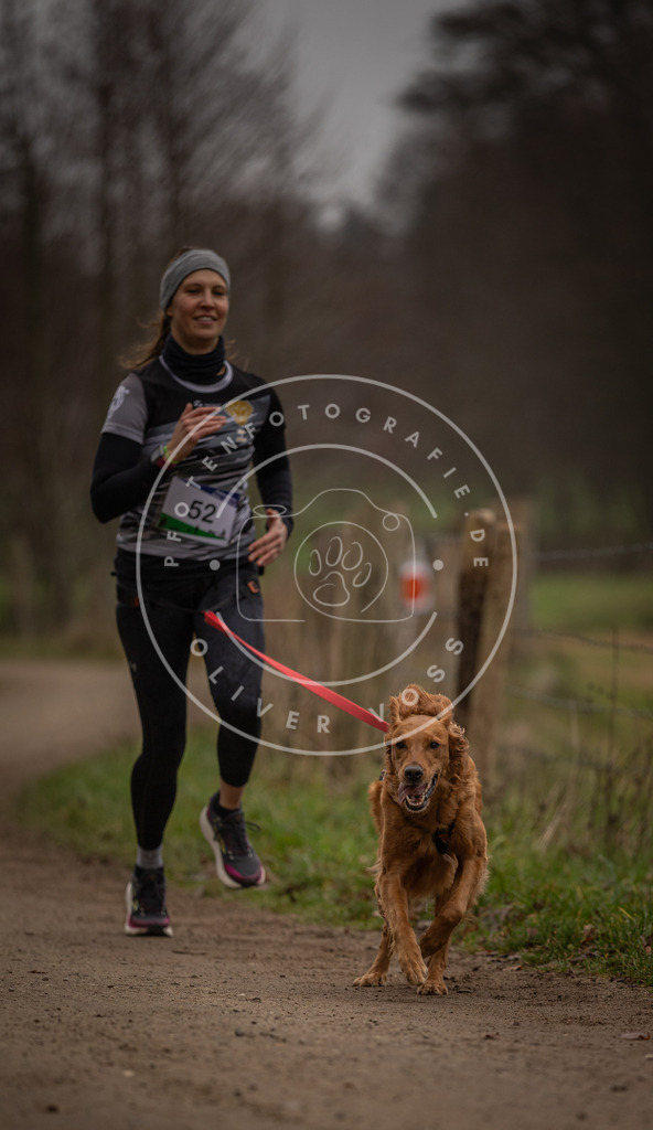 Pfotenfotografie_DV3A2921 | Hundefotografie, Tierfotograf, Pfotenfotografie, Fotoshooting Hund, Hunde Portrait, Hundesport, Hundeportraits, Heideshooting, Hunde, Sportfotograf, Hundefotograf, Turnierhundsport, THS,  - Realisiert mit Pictrs.com