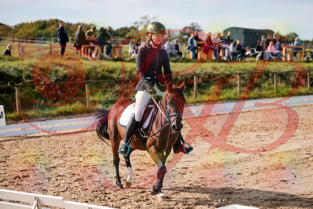 2026_10_03_Siefer-Hof_120543_Z63_36485904 | Professionelle Reitsport-, Turnier- und Eventfotografie von Robert Broda. Galerien mit ausgewählten und bearbeiteten Bildern direkt online ansehen und bestellen.