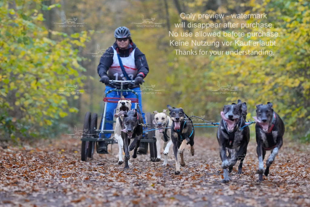 AusschnitteSo-14 | stephaniefillaphotographie - Realisiert mit Pictrs.com