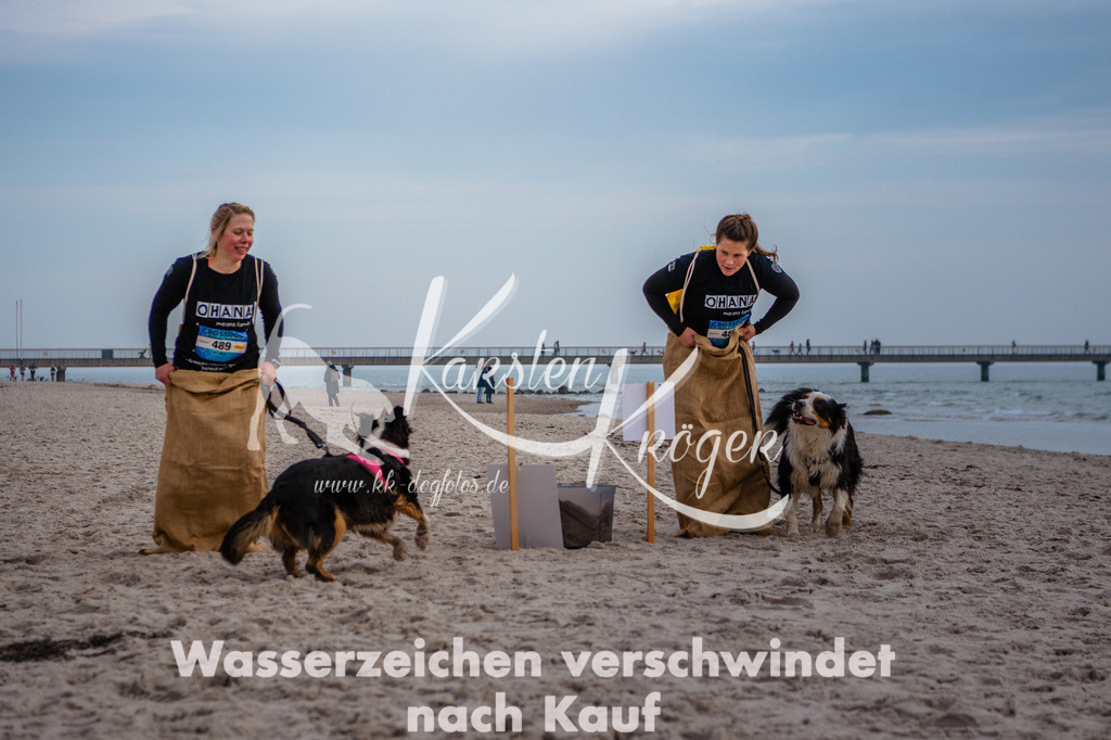 1138STR_9172 | kk-dogfotos