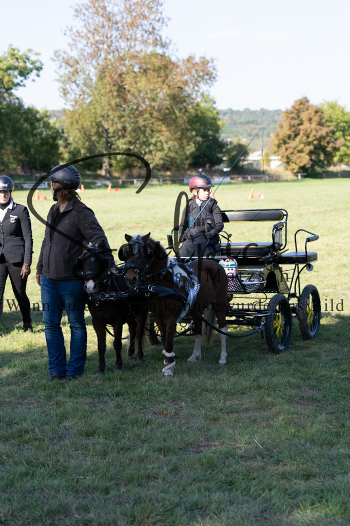 A7V04423 | Pferdefotograf