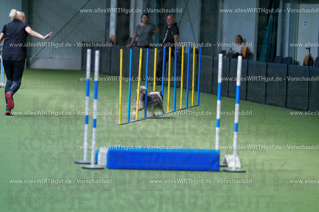 @allesWIRTHgut_Tierfotografie - www.allesWIRTHgut.de - 2604261338-7R502330 | Professionelle Tierfotografie in Mönchengladbach von Daniel Wirth (allesWIRTHgut). Liebevolle & natürliche Bilder von Hunden & Katzen für unvergessliche Erinnerungen.