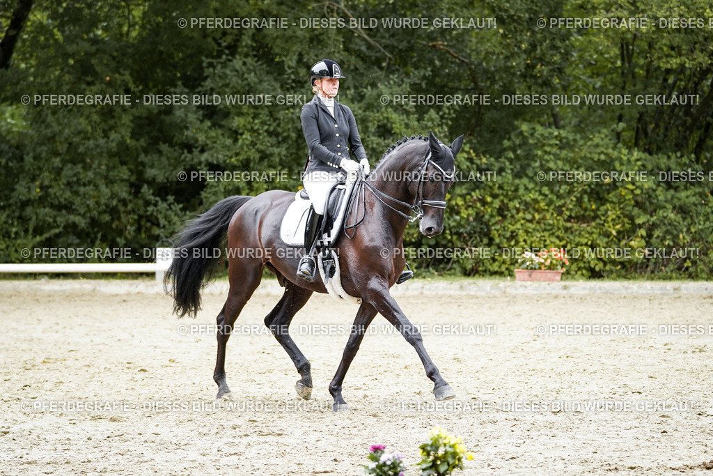 DSC01450 | Pferdegrafie